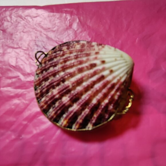 Seashell Trinket Box with Brass Trim. Used as a Pillbox, Perfume Sachet or coins - Picture 4 of 6